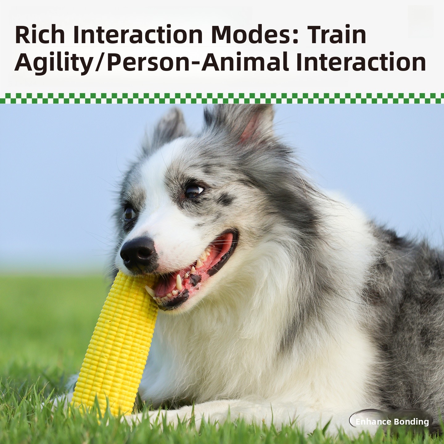 QZee Durable ETPU Corn Dog Toy - Corn Dog Stick recensione e prezzo