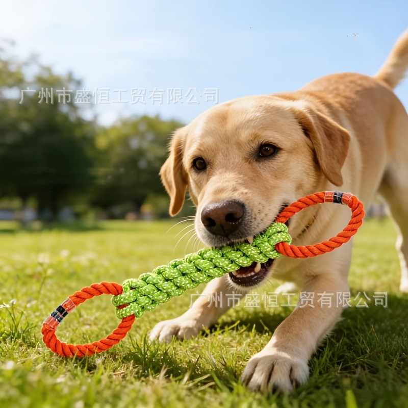 Pet toy cotton rope double-rin - Corn Dog Stick recensione e prezzo